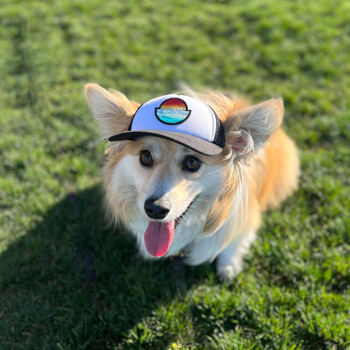 Ruff Life Pet Hats — Marloco - Main Image